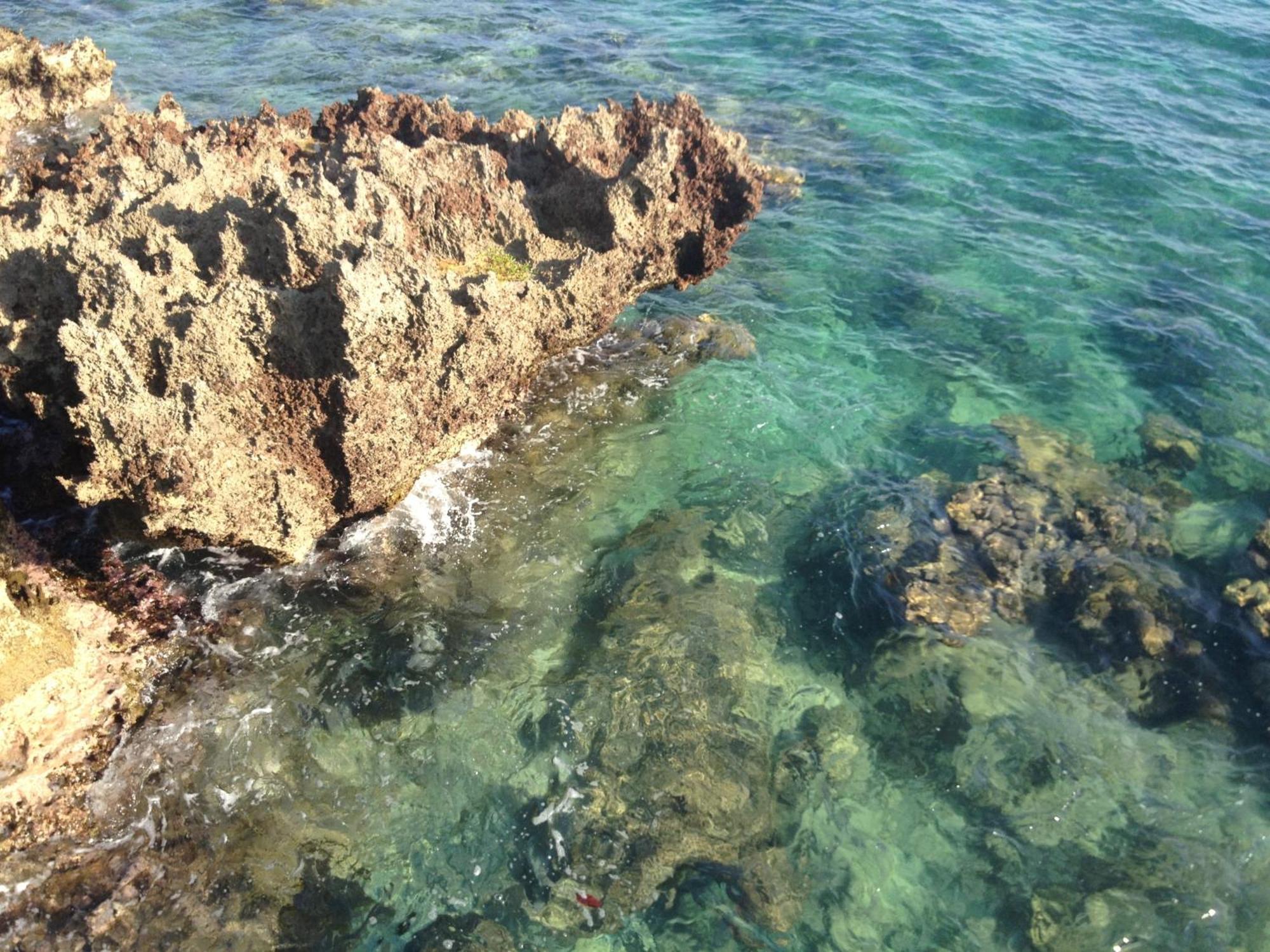 Media Luna Resort & Spa Second Bight المظهر الخارجي الصورة